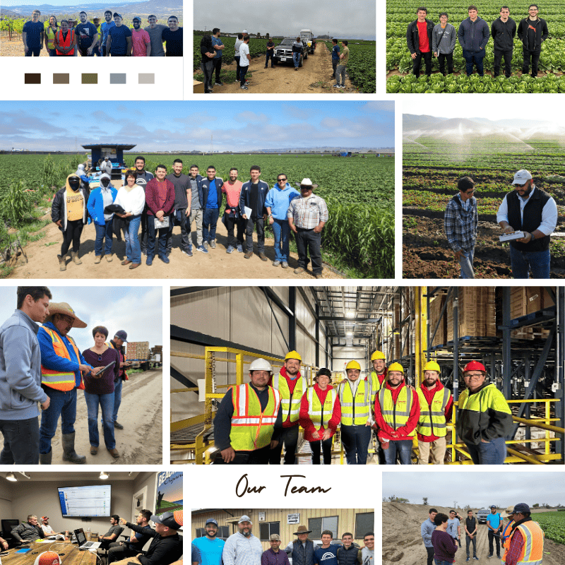 Food Safety Dashboard