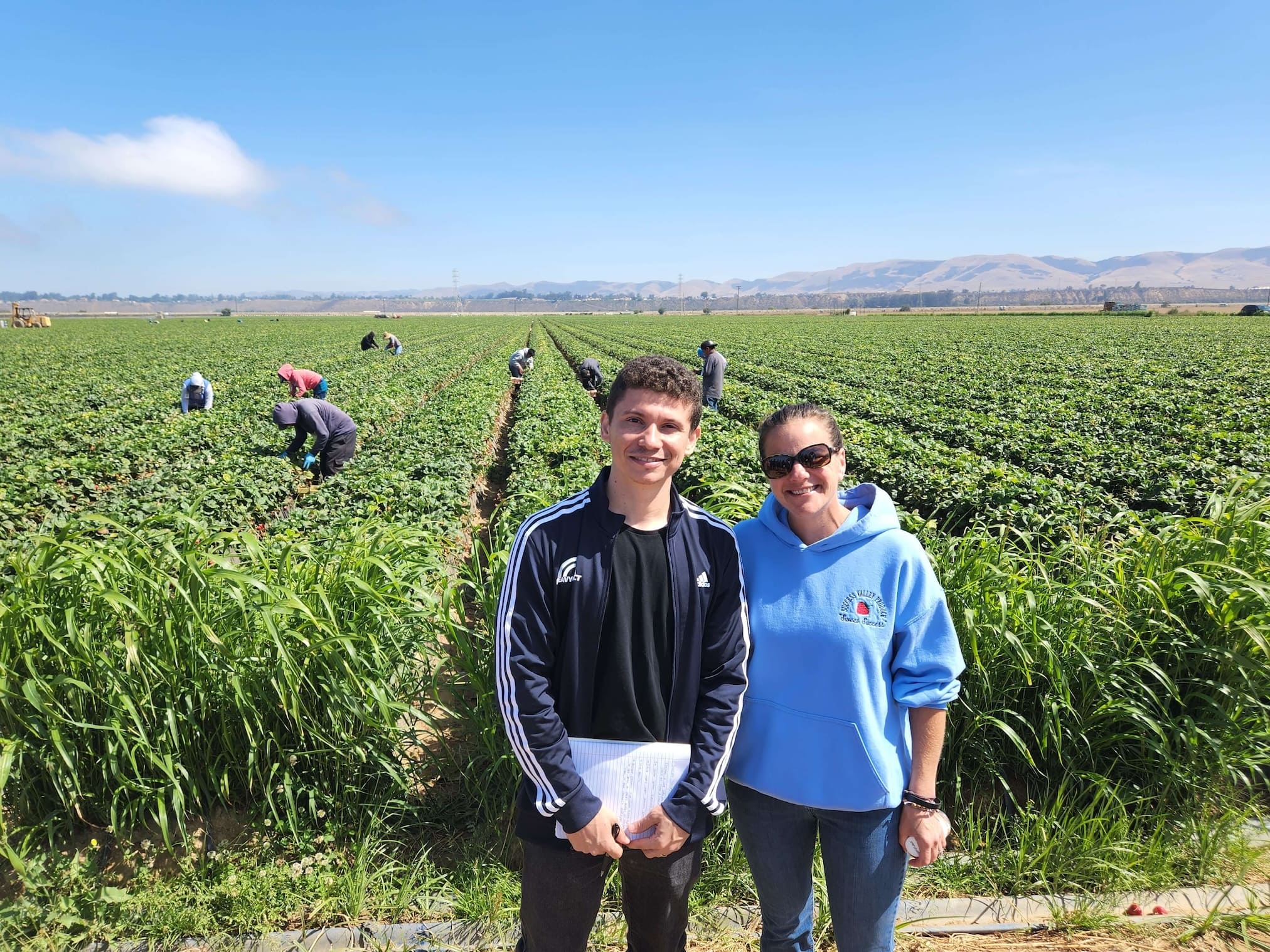 Cheking on strawberry crews and individual piece rate tracking