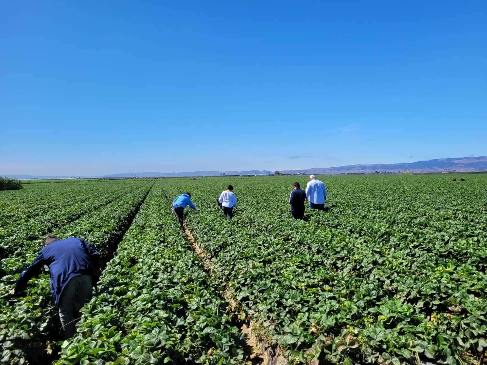 Understanding field operations and quality assurance processes